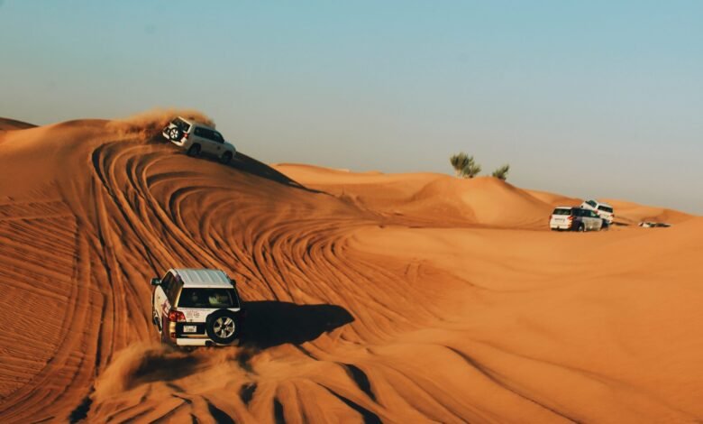 My 2023 Dubai Desert Safari Tickets Experience