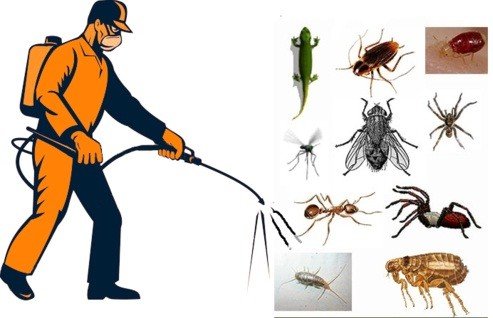 pest control services