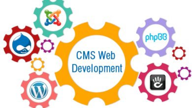 CMS Web Development