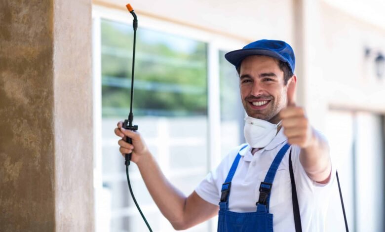 Pest Control Services in Lahore