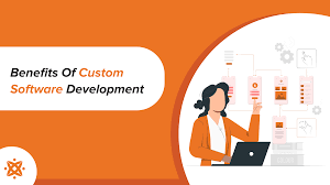 benefits of custom software development