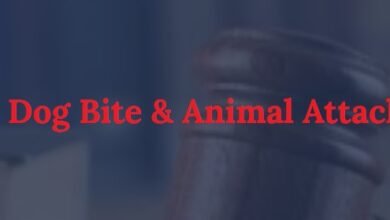 dog bite lawyer