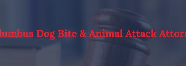 dog bite lawyer