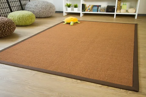 sisal carpets