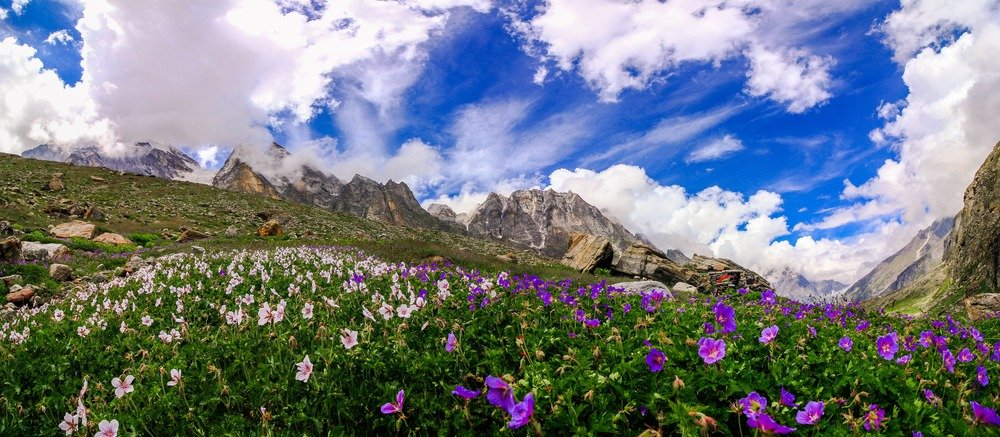 Valley of Flowers Trek