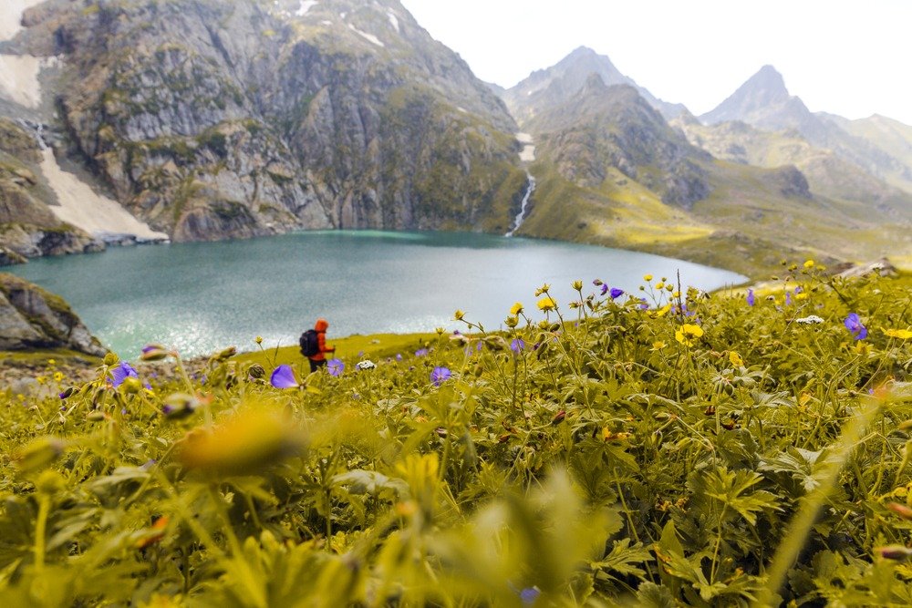 Valley of Flowers Trek