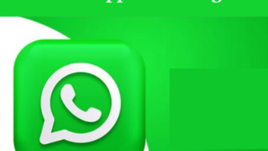 whatsapp bulk sms marketing