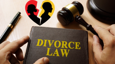 Divorce Lawyer