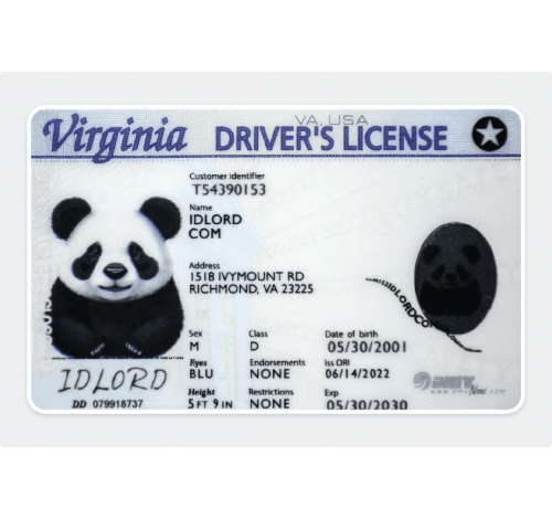 fake virginia ids