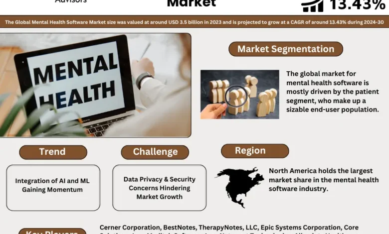 Mental Health Software Market