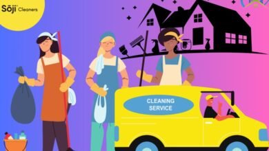 Best Cleaning Services in the Chicago