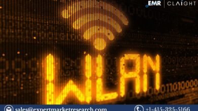 Enterprise WLAN Market