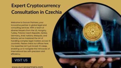 Cryptocurrency Consultation in Czechia