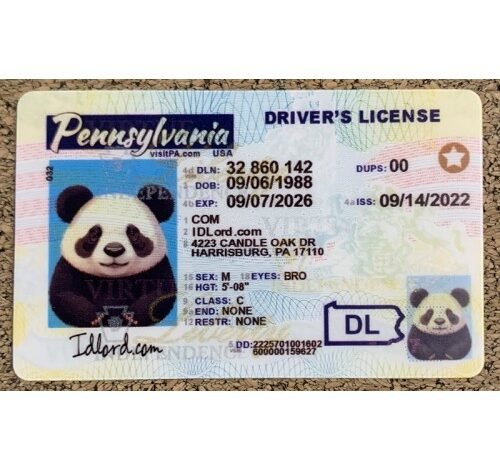 fake pa id