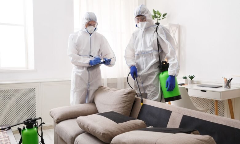 Pest Control Services in Lahore and Guide Termite Treatment