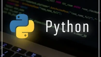 Python Developer