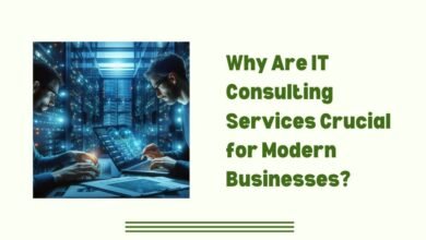 Why Are IT Consulting Services Crucial for Modern Businesses