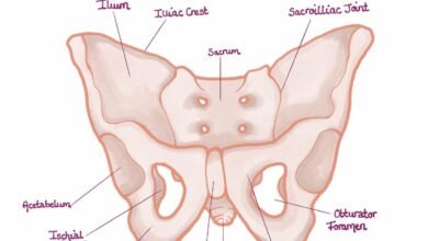 pelvic pathology ultrasound