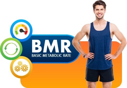 BMR Calculator