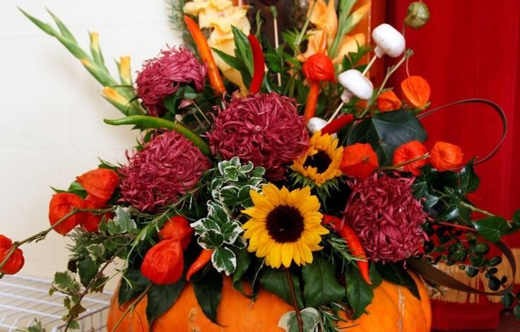 Best Halloween Flowers for 2024: Spooky Blooms for a Hauntingly Beautiful Celebration