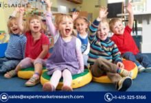 India Pre-School/Childcare Market