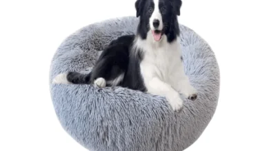 Luxury Pet Bed