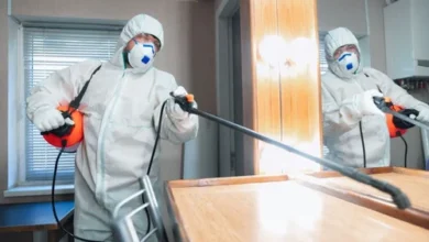 Bed Bug control Surrey