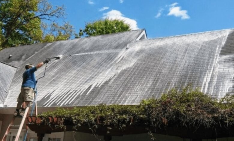 Community Spotlights: Roof Cleaning Success Stories