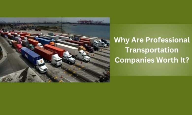 Why Are Professional Transportation Companies Worth It?