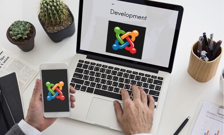 Hire joomla developers