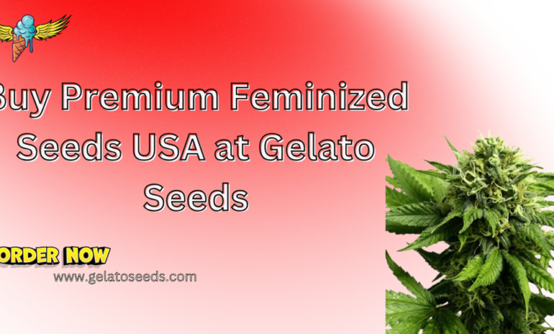 Feminized seeds USA