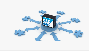 SAP Classes in Pune