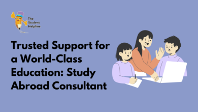 study abroad consultant