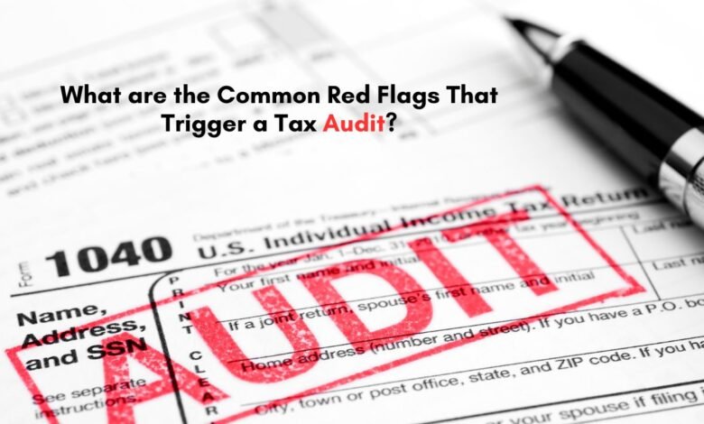 Tax Audit