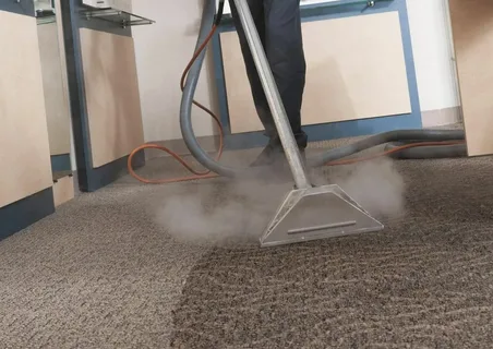 Steam Carpet Cleaners