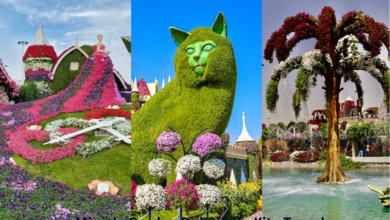 Miracle Garden Dubai