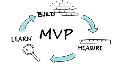 MVP development