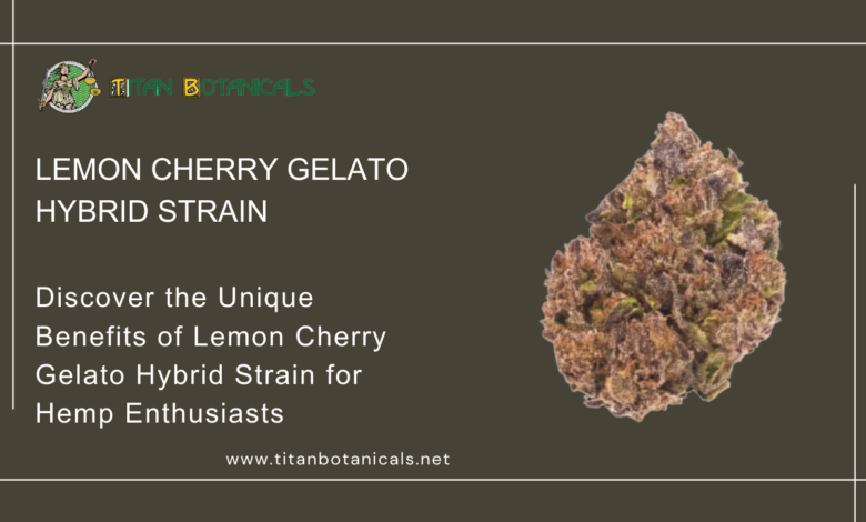 Lemon Cherry Gelato Hybrid Strain