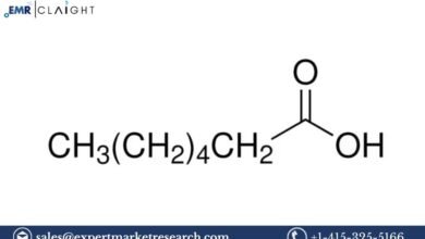 Heptanoic Acid Manufacturing Plant Project Report