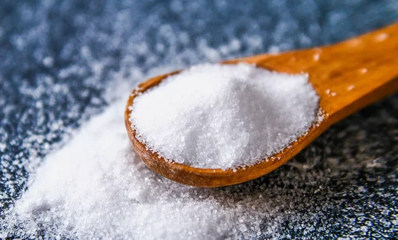 Global Salt Market