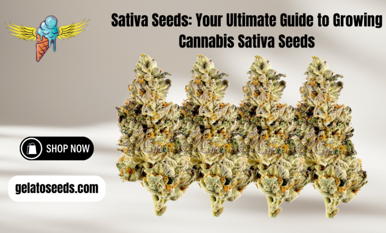 cannabis sativa seeds