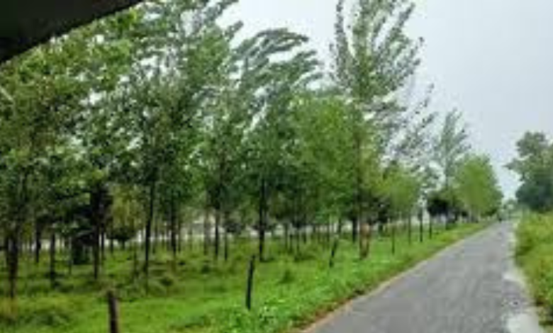 Plots in Rudrapur for Sale