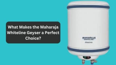 What Makes the Maharaja Whiteline Geyser a Perfect Choice