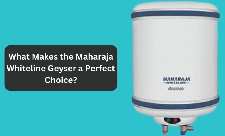 What Makes the Maharaja Whiteline Geyser a Perfect Choice