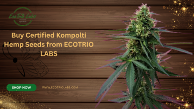 Kompolti Hemp Seeds