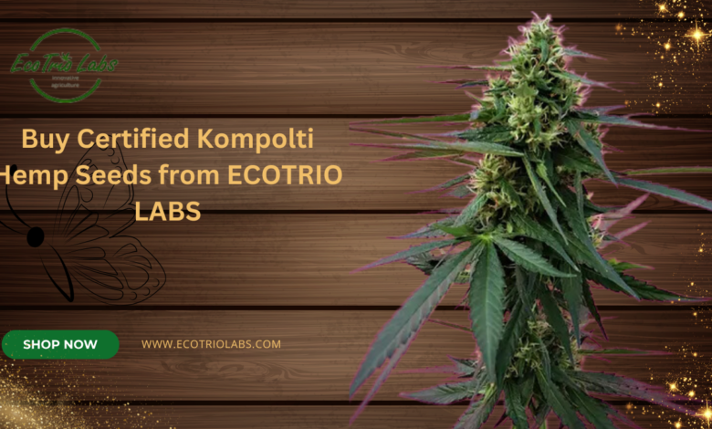 Kompolti Hemp Seeds