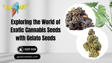 exotic cannabis seeds