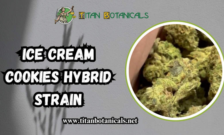 Ice Cream Cookies Hybrid Strain