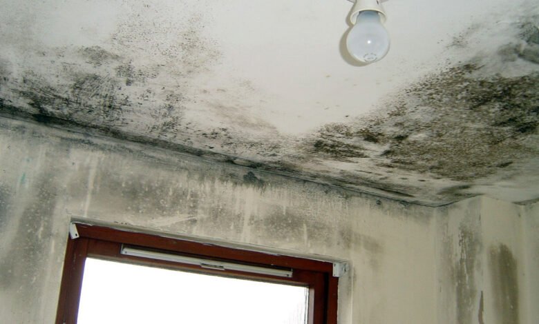 condensation issues Andover