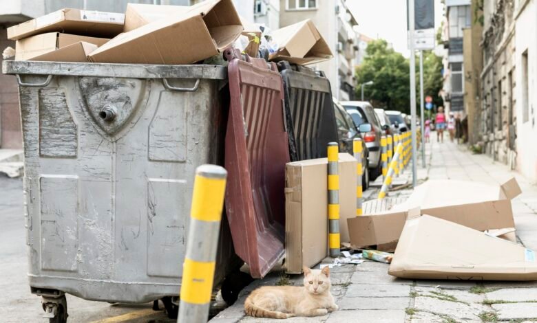 Efficient Junk Removal Services in Portland